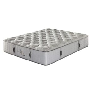 Bianne Firm Mattress