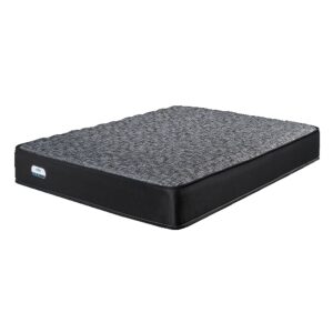 Gallaga Firm Mattress
