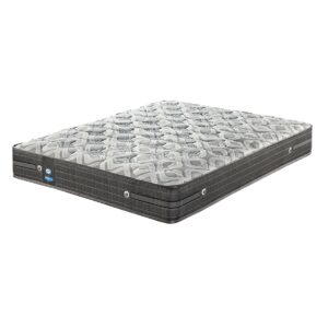Belgro Firm Mattress