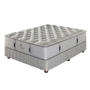 Bianne Firm Bed Set